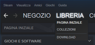 Libreria su Steam